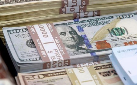 5 noyabr xarici valyutaların məzənnələri