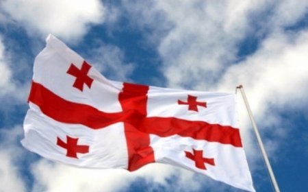 Bu il Gürcüstanda prezident seçkiləri keçiriləcək