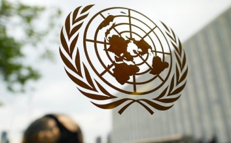 BMT: Dünyada hər 10 dəqiqədə bir qadın öldürülür