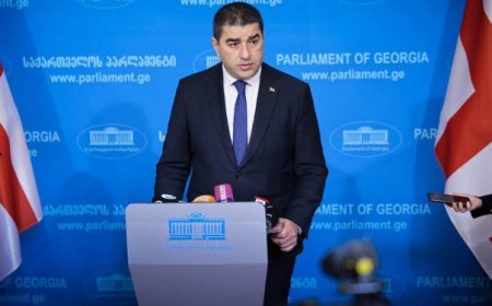 Şalva Papuaşvili yenidən Gürcüstan parlamentinin sədri seçilib