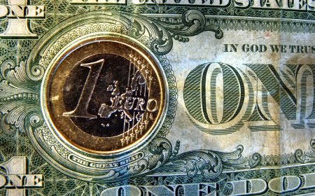 21 dekabr xarici valyutaların məzənnələri