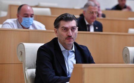 Gürcüstanın hakim partiyası prezidentliyə namizədini açıqlayıb