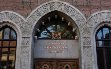Xarici dövlətlər gürcü diplomatlarına təzyiqlər edirlər