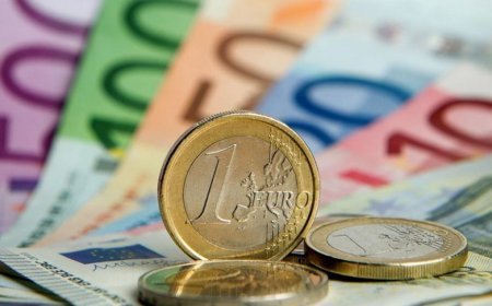 1 fevral xarici valyutaların məzənnələri