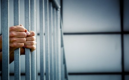 Gürcüstan prezidenti 9 məhkumu əfv edib