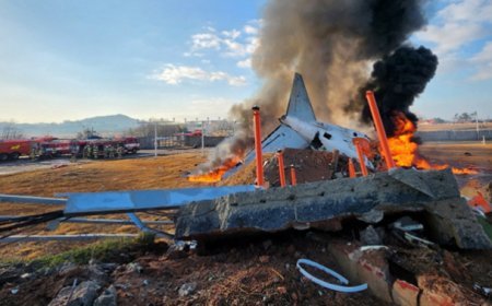 Cənubi Koreyada təyyarə qəzası - 179 nəfər öldü