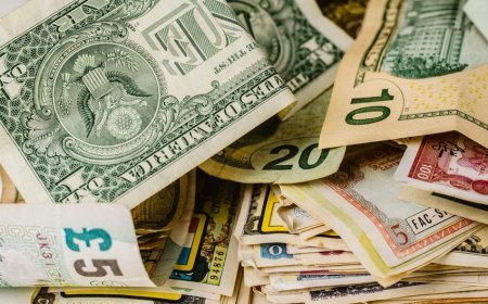 5 fevral xarici valyutaların məzənnələri