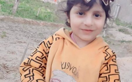 İsrail hərbçiləri at arabasını atəşə tutub, beş yaşlı qız ölüb, daha üç nəfər yaralanıb