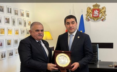 Gürcüstan Parlamentinin sədri: Azərbaycan bizə dəstəyi əməldə göstərib