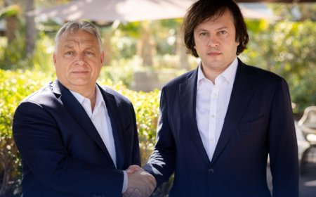 Macarıstan və Gürcüstanın Baş nazirləri görüşüb