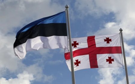 Estoniya Gürcüstanın 55 vətəndaşının ölkəyə girişinə qadağa qoyub