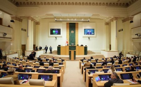 Gürcüstan parlamenti “Xarici agentlər haqqında" qanunu təsdiqləyib