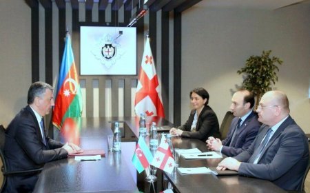 Azərbaycanın Tbilisidəki səfiri Gürcüstan DTX-nin rəisi ilə regional təhlükəsizliyi müzakirə edib