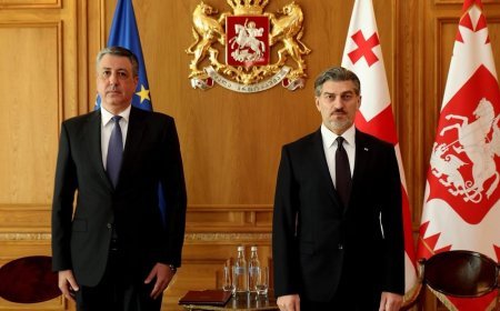 Gürcüstan Prezidenti Azərbaycanın Tbilisidəki səfiri ilə strateji tərəfdaşlığı müzakirə edib