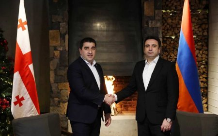 Gürcüstan və Ermənistan parlament spikerləri regional əməkdaşlığı müzakirə edib