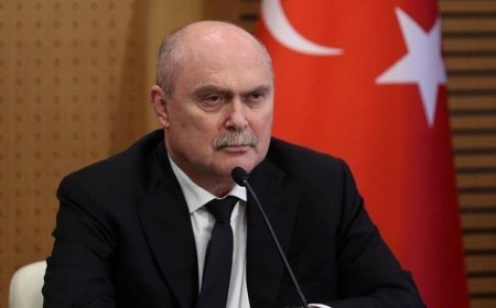 ATƏT-in baş katibi: Gürcüstanda sabitlik region üçün həyati əhəmiyyət daşıyır