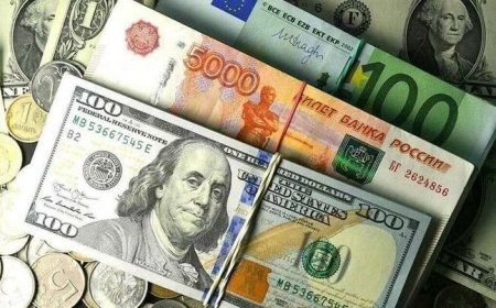 4 iyun xarici valyutaların məzənnələri