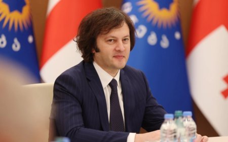 Kobaxidze İtaliyaya səfər edib