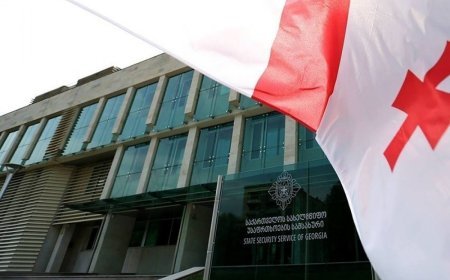 Gürcüstan DTX-nin rəhbəri Ermənistanın səfiri ilə təhlükəsizlik sahəsində əməkdaşlığı müzakirə edib