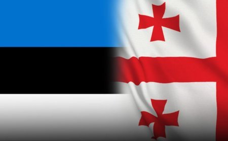 Estoniya Gürcüstan üçün vizasız rejimi ləğv etdi