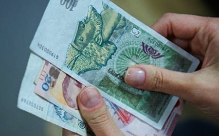 Gürcüstanda 140,5 min nəfər 600 laridən az maaş alır