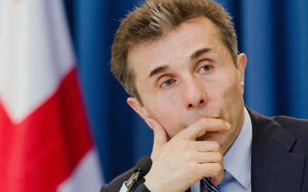 “Gürcü Arzusu” İvanişvilinin deklarasiya təqdim etmə öhdəliyi barədə nə deyir?