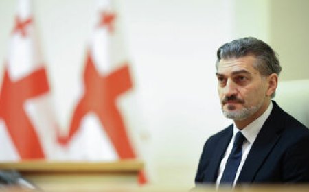 Gürcüstan Prezidenti 37 nəfəri əfv edib