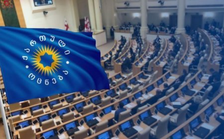 “Gürcü Arzusu” fikir və çağırış azadlığına dair maddəni qanundan çıxarır