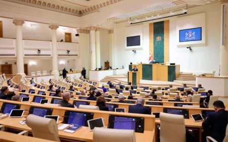 Gürcüstan parlamenti Təhlükəsizlik Şurasının ləğvi haqqında qanunu qəbul edib