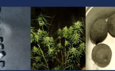 Metadon, kannabis və qeyri-qanuni silah ələ keçirilib