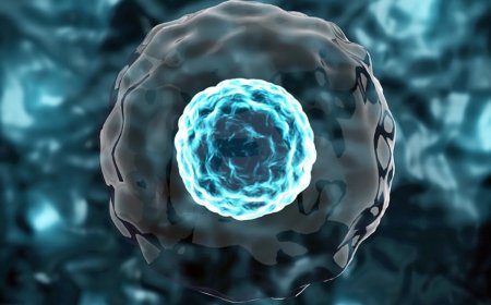 Alimlər süni insan hüceyrələri yaradırlar