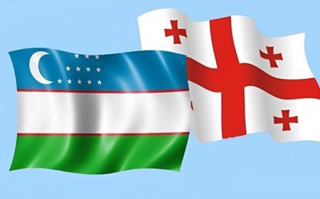 Gürcüstan və Özbəkistan XİN başçıları 2025-2026-cı illər üçün Əməkdaşlıq Proqramı imzalayıblar