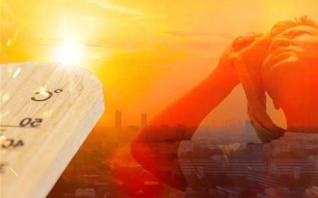 Avropada 2300 adam istidən öldü