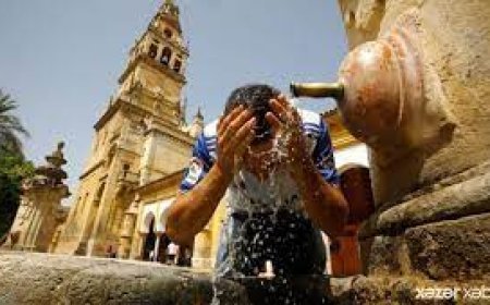 İspaniyada 1180 nəfər istidən öldü