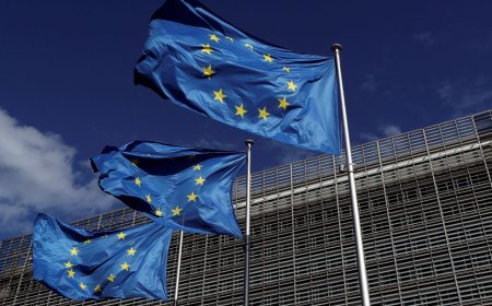 Kobaxidze vizasız rejimin dayandırılması təhlükəsini "tamamilə utancverici addım" adlandırır