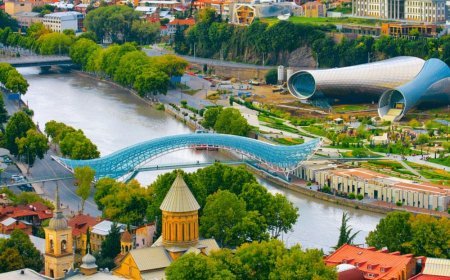 Müxalifət Tbilisi meri vəzifəsinə yeni namizəd seçdi