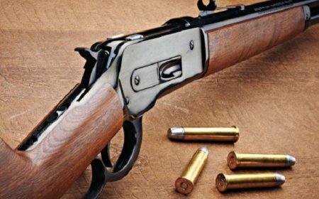 Tbilisidə 21 yaşlı gənc odlu silah və güllə saxlamaqda şübhəli bilinərək saxlanılıb