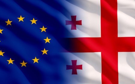 Aİ Parlamenti Gürcüstanın hazırkı hökumətini tanımadığını bəyan etdi