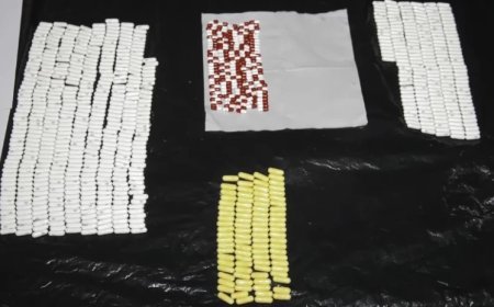 Psixotrop maddələrin qanunsuz daşınmasına görə bir nəfər saxlanılıb