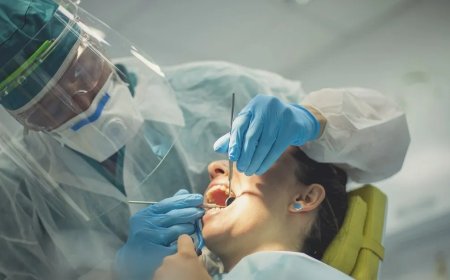 Alimlər təbii dişi yenidən böyüdən dərman hazırladılar