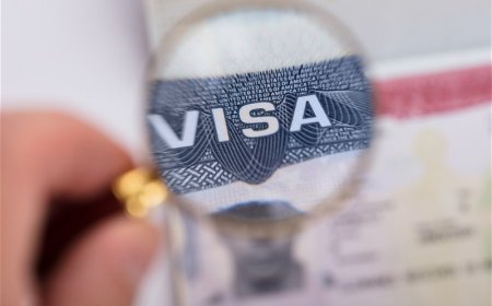 Aİ Gürcüstanla vizasız rejimi ləğv etməklə inqilab edə bilməyəcək