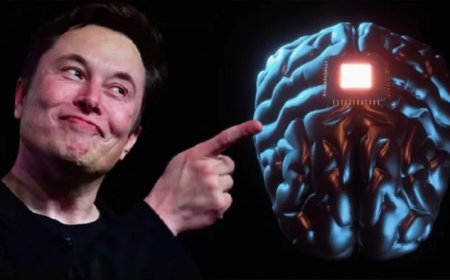 Hər il 20 min insana çip taxılacaq