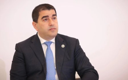 Şalva Papuaşvili rəsmi səfərlə Cenevrəyə gedib