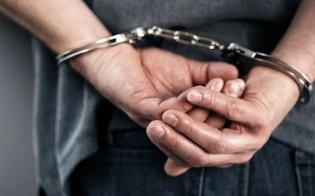 Gürcüstan "qırmızı bülleten"lə axtarılan qruplaşma üzvünü Türkiyəyə ekstradisiya edib