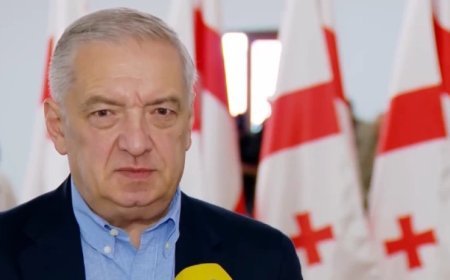 Ekstremist qruplara çevrilmiş opponentlər Gürcüstanı dağıtmaq istəyirlər