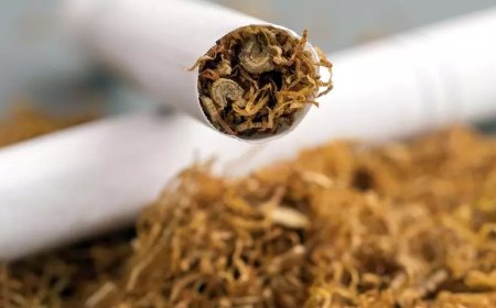 “Tütünə Nəzarət Alyansı” mediaya xəbərdarlıq edir: Tütün məhsullarının reklamı qanunsuzdur