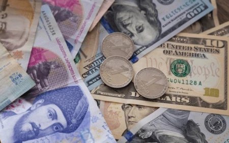 31 iyul xarici valyutaların məzənnələri