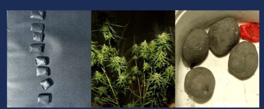 Metadon, kannabis və qeyri-qanuni silah ələ keçirilib