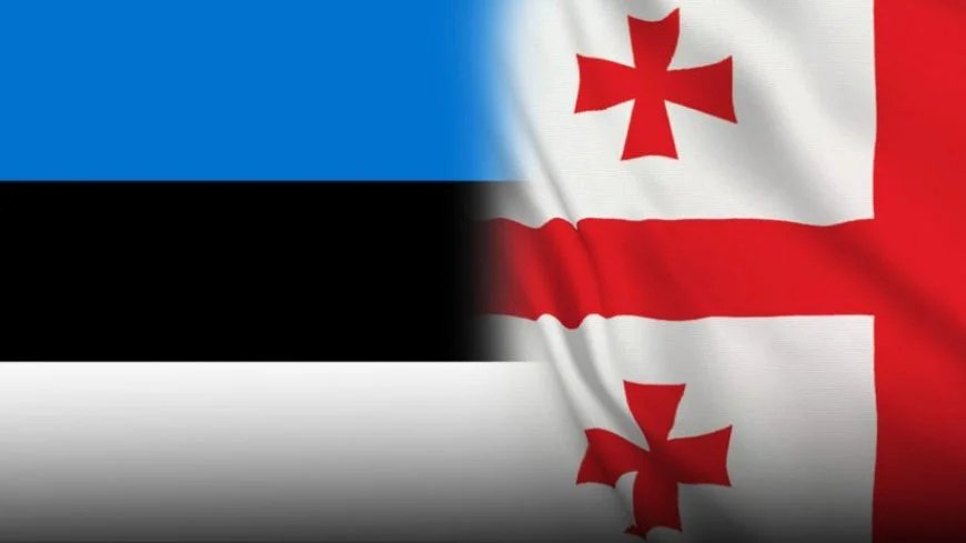 Estoniya Gürcüstan rəsmilərinə yeni sanksiya tətbiq edib