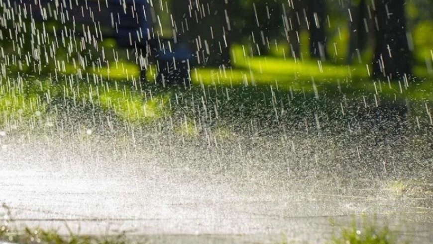 Gürcüstanda yüksək temperatur fonunda qısamüddətli yağış və ildırım gözlənilir